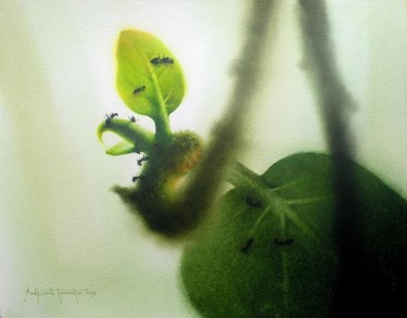 Schilderij getiteld "new life" door Sudipta Karmakar, Origineel Kunstwerk, Aquarel