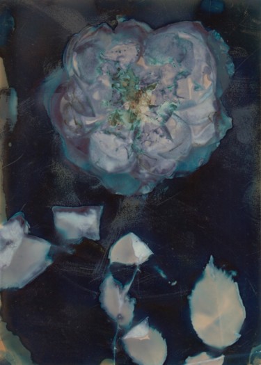 Fotografie getiteld "Lumen #89 - Rose" door Sébastien Verdière, Origineel Kunstwerk, Film fotografie