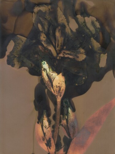 Fotografía titulada "Lumen #21/14 - iris" por Sébastien Verdière, Obra de arte original, Fotografía analógica