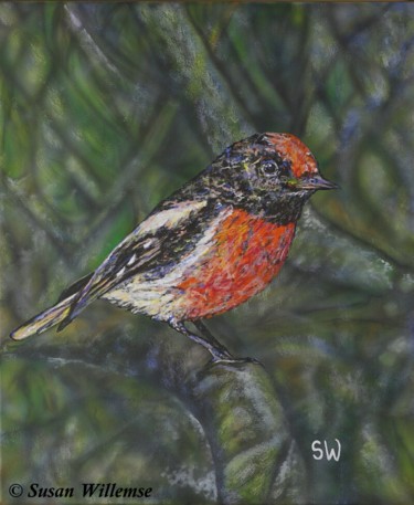 Painting titled "Red-capped Robin" by Susan Willemse, Original Artwork, Acrylic
