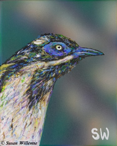 Painting titled "Blue- faced Honeyea…" by Susan Willemse, Original Artwork, Acrylic Mounted on Wood Stretcher frame