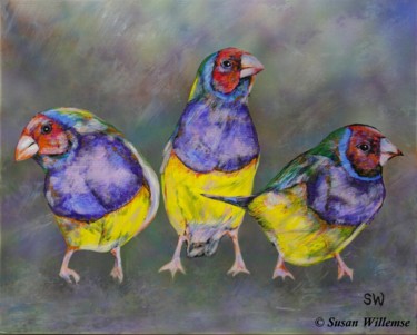 Painting titled "Red headed Gouldian…" by Susan Willemse, Original Artwork, Acrylic Mounted on Wood Stretcher frame