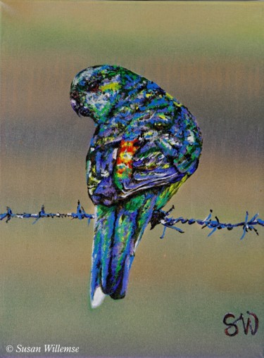 Painting titled "Red- rumped Parakeet" by Susan Willemse, Original Artwork, Acrylic Mounted on Wood Stretcher frame