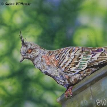 Painting titled "Crested Pigeon" by Susan Willemse, Original Artwork, Acrylic Mounted on Wood Stretcher frame