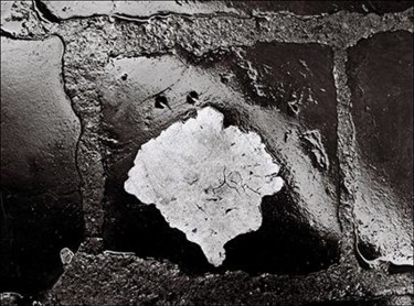 Photographie intitulée "Une étoile tombée d…" par Saâd Tazi, Œuvre d'art originale, Photographie argentique