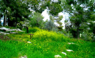 Fotografia intitulada "Early Spring in Jer…" por Sabina Faynberg, Obras de arte originais, Fotografia Não Manipulada