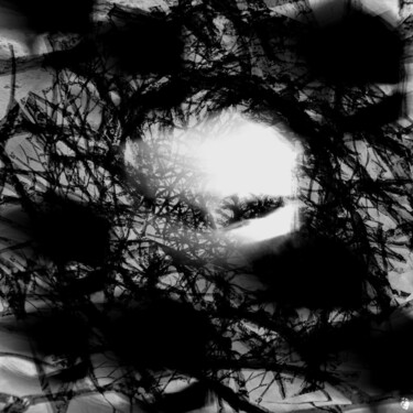 Fotografía titulada "hallucination ıı" por Sabine Stoye (artskorps.photography), Obra de arte original, Fotografía digital M…
