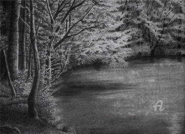Zeichnungen mit dem Titel "Der kleine Waldsee" von Sabine Weigel, Original-Kunstwerk, Bleistift