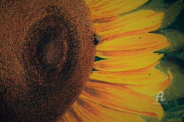Malerei mit dem Titel "Die Sonnenblume" von Sabine Weigel, Original-Kunstwerk, Pastell
