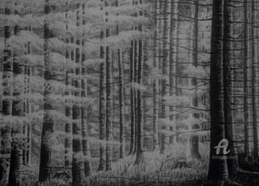 Dessin intitulée "Im Wald" par Sabine Weigel, Œuvre d'art originale, Crayon