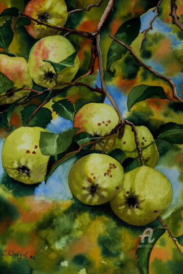 Pintura titulada "Grüne Äpfel (2)" por Sabine Weigel, Obra de arte original, Acuarela