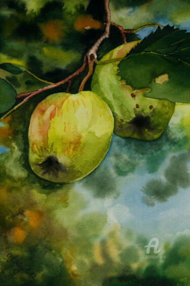 Peinture intitulée "Grüne Äpfel" par Sabine Weigel, Œuvre d'art originale, Aquarelle