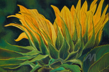 Schilderij getiteld "Die Sonnenblume (2)" door Sabine Weigel, Origineel Kunstwerk, Pastel