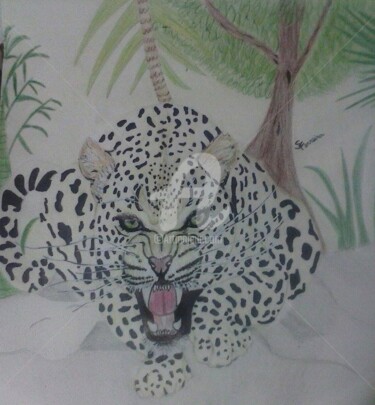 Drawing titled "Jaguar" by Sabrina Ferreira, Original Artwork, Pencil