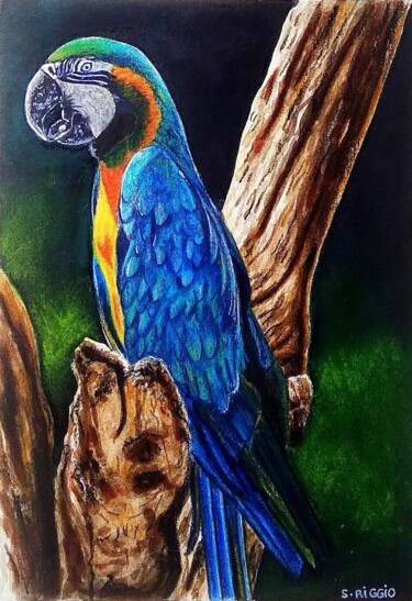 绘画 标题为“Perroquet ara bleu” 由Sabrina Riggio, 原创艺术品, 水彩