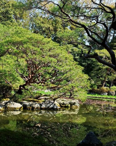 Photographie intitulée "Vert chatoyant" par Sabrina Timsit, Œuvre d'art originale, Photographie numérique