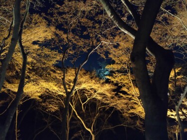 Fotografia zatytułowany „Kiyomizu-Dera, lumi…” autorstwa Sabrina Timsit, Oryginalna praca, Fotografia cyfrowa