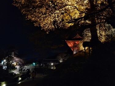 Photography titled "Scarlet Temple" by Sabrina Timsit, Original Artwork, Digital Photography