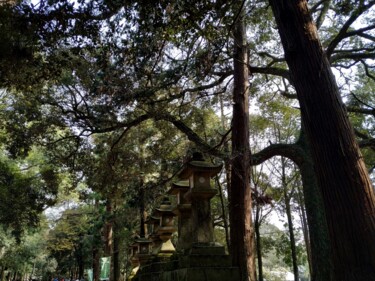 Fotografía titulada "Lanternes de pierre…" por Sabrina Timsit, Obra de arte original, Fotografía digital