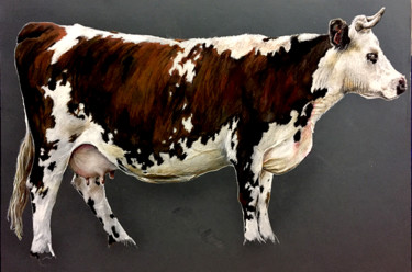 Drawing titled "Vache crayon fond g…" by Sacha Schwarz, Original Artwork, Pencil Mounted on Cardboard