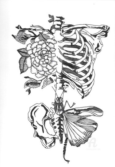 Drawing titled "la nature de corps" by Sacha M3s, Original Artwork, Ink