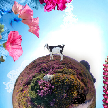 Digitale Kunst mit dem Titel "Planète Fleur Sauva…" von Sadim, Original-Kunstwerk, Fotomontage