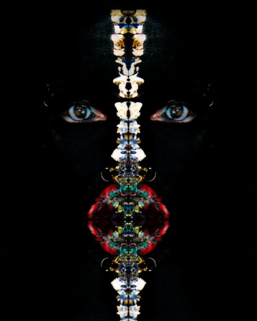Arts numériques intitulée "La tête de O" par Sadinoel, Œuvre d'art originale, Photo montage
