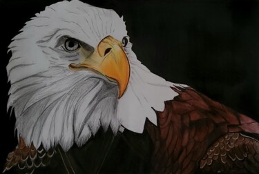 Drawing titled "Realistic Eagle" by Sagar Pawar, Original Artwork, Pencil