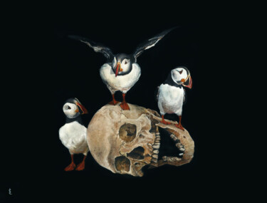 Ζωγραφική με τίτλο "Fratercula arctica" από Sailev, Αυθεντικά έργα τέχνης, Λάδι Τοποθετήθηκε στο Ξύλινο φορείο σκελετό