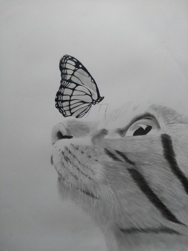 Рисунок под названием "Кот и бабочка" - Станислав Селих, Подлинное произведение искусства, Карандаш