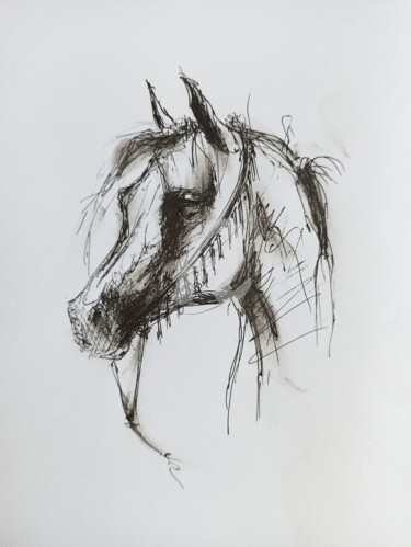 Drawing titled "Arabian horse" by Salamander Nebula, Original Artwork, Gel pen