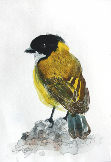 BIRD II Картина под названием "BIRD II" - Svetlana Samovarova, Подлинное произведение искусства, Акварель