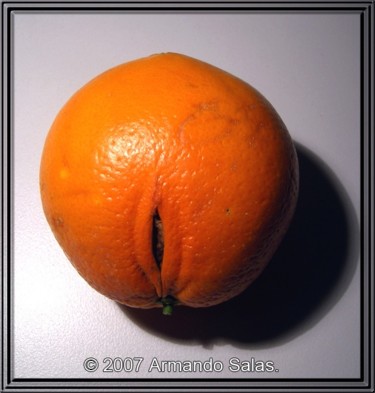 Photography titled "Forbidden fruit" by Armando Salas, Original Artwork