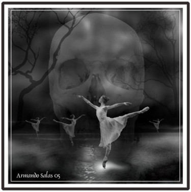 Digital Arts titled "Lake of swans" by Armando Salas, Original Artwork