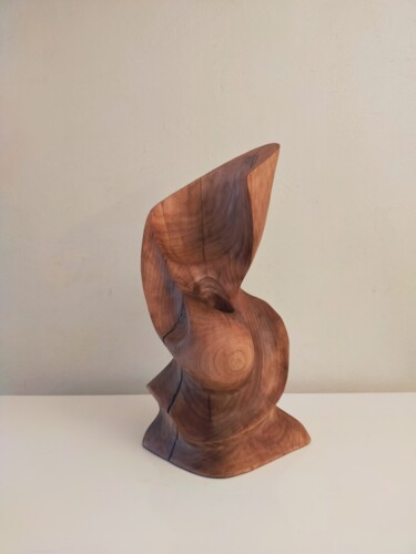 Skulptur mit dem Titel "Ceviz" von Salih Demirci, Original-Kunstwerk, Holz