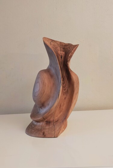 Sculpture titled "Ceviz iki" by Salih Demirci, Original Artwork, Wood