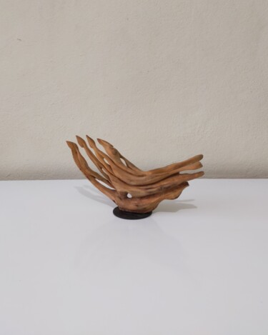 Sculpture titled "Kayin" by Salih Demirci, Original Artwork, Wood