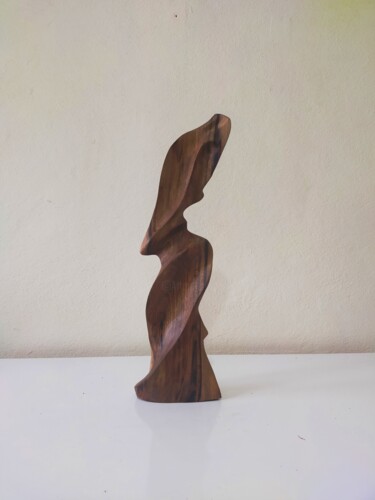 雕塑 标题为“Ceviz5” 由Salih Demirci, 原创艺术品, 木