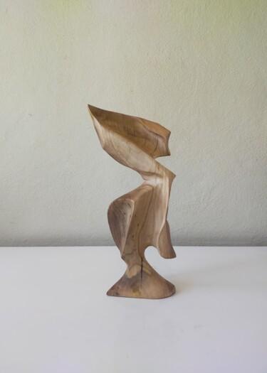 Sculpture intitulée "Ceviz 7" par Salih Demirci, Œuvre d'art originale, Bois
