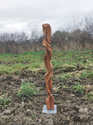 雕塑 标题为“Meşe 4” 由Salih Demirci, 原创艺术品, 木