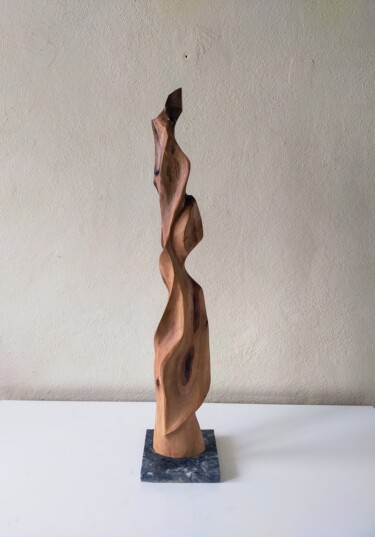 Sculpture titled "Ceviz 10" by Salih Demirci, Original Artwork, Wood