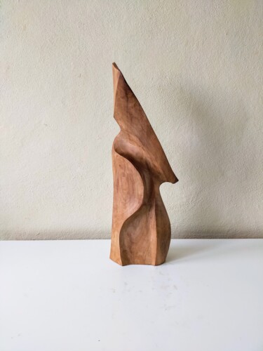 Sculpture titled "Ceviz11" by Salih Demirci, Original Artwork, Wood