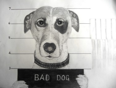 Dessin intitulée "bad-dog.jpg" par Lolo, Œuvre d'art originale, Crayon