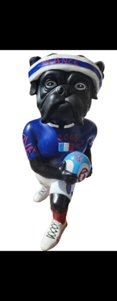 Sculpture intitulée "Go rugby" par Saloua Mercier, Œuvre d'art originale, Acrylique