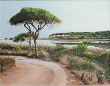 Painting titled "Algarve selvagem" by Salvado Canaria, Original Artwork, Oil