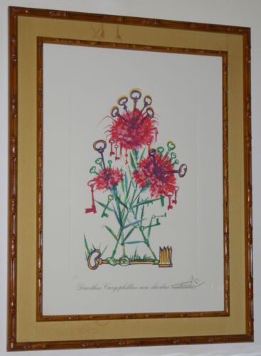 Отпечатки и Гравюры под названием "DIANTHUS CARYOPHILL…" - Salvador Dali, Подлинное произведение искусства, Масло