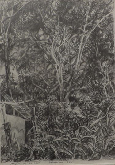 Dibujo titulada "Jardín de la Casa II" por Salvador Velarde, Obra de arte original, Lápiz