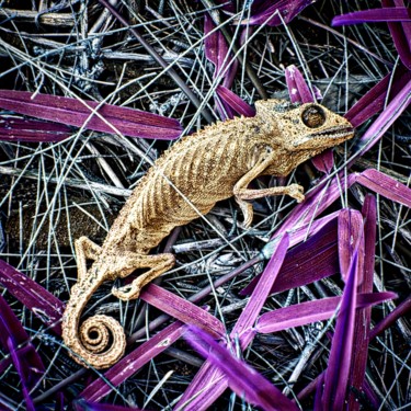 Fotografia intitolato "Death of a chameleon" da Salvatore Avallone, Opera d'arte originale, Fotografia digitale