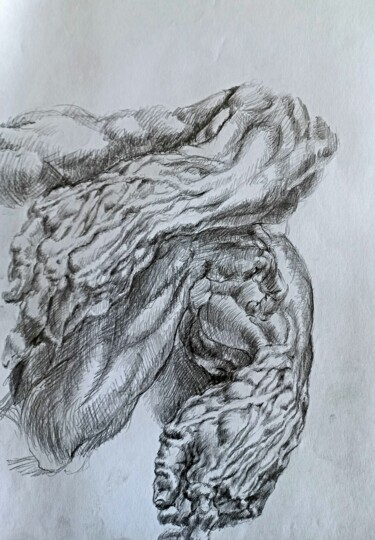 Peinture intitulée "Anatomie 13" par Sam Keusseyan Gladiateur, Œuvre d'art originale, Crayon