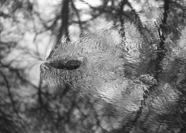 Fotografia zatytułowany „Wasser und Bäume” autorstwa Samira Klaho, Oryginalna praca, Fotografia cyfrowa